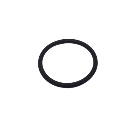 O-Ring for Foot Valve Seat